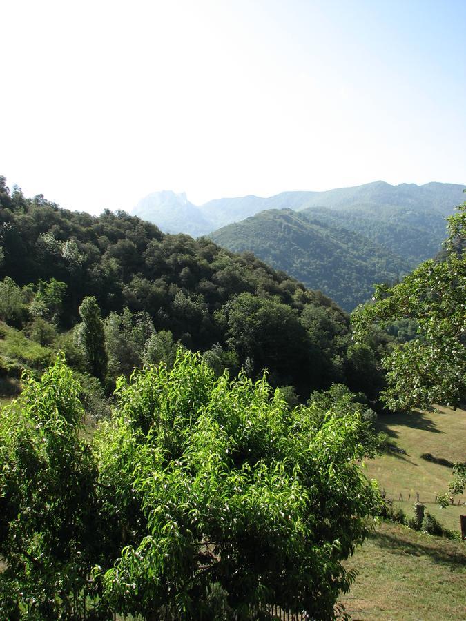 Viviendas Rurales Aldea De Dosamantes Pesaguero-La Parte 외부 사진